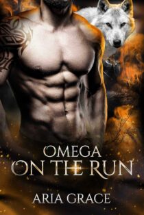 Omega On The Run by Aria Grace EPUB & PDF