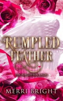 Rumpled Feather by Merri Bright EPUB & PDF