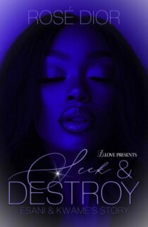 Seek & Destroy by Rosè Dior EPUB & PDF