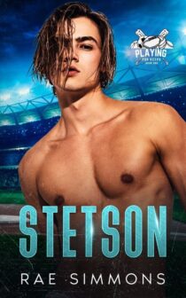 Stetson by Rae Simmons EPUB & PDF