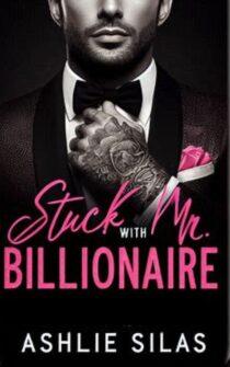 Stuck with Mr. Billionaire by Ashlie Silas EPUB & PDF