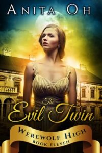 The Evil Twin by Anita Oh