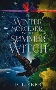 The Winter Sorcerer and the Summer Witch by D. Lieber