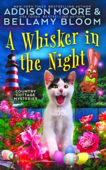 A Whisker in the Night by Addison Moore EPUB & PDF