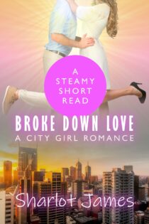 Broke Down Love by Sharlot James EPUB & PDF