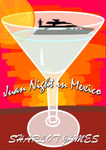 Juan Night in Mexico by Sharlot James EPUB & PDF