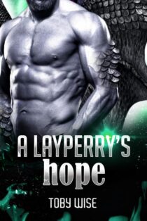 A Layperry's Hope by Toby Wise EPUB & PDF