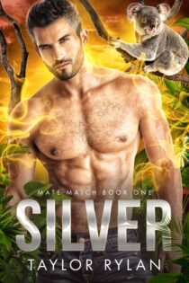 Silver by Taylor Rylan EPUB & PDF