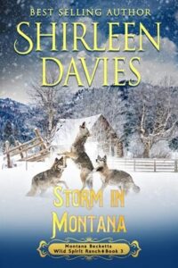 Storm in Montana by Shirleen Davies