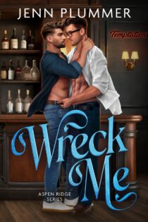 Wreck Me by Jenn Plummer EPUB & PDF