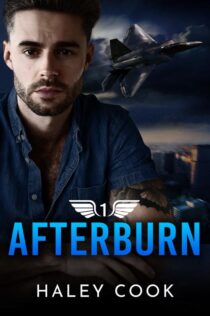 AFTERBURN by Haley Cook EPUB & PDF