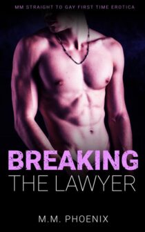 Breaking The Lawyer by M.M. Phoenix EPUB & PDF