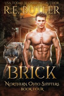Brick by R. E. Butler EPUB & PDF