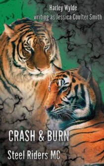 Crash & Burn by Harley Wylde EPUB & PDF