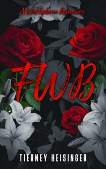 FWB by Tierney Heisinger EPUB & PDF