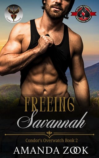 Freeing Savannah by Amanda Zook Epub & PDF