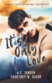 It's Only Love by Courtney W. Dixon EPUB & PDF