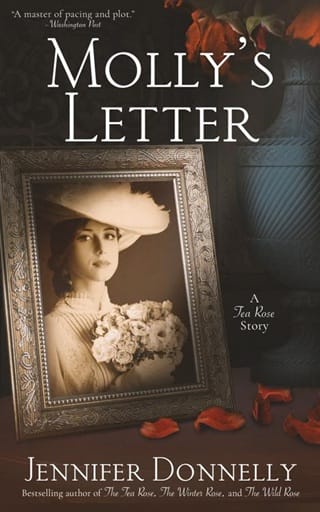 Molly’s Letter by Jennifer Donnelly Epub & PDF