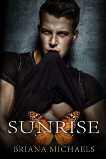 Sunrise by Briana Michaels EPUB & PDF