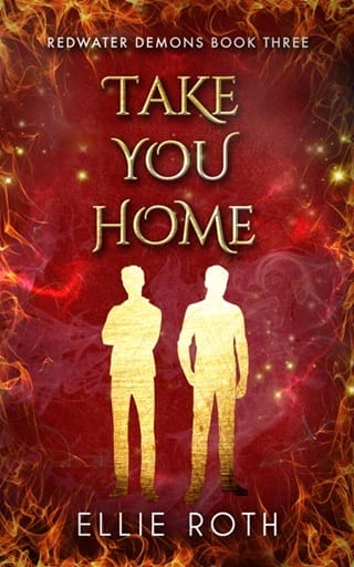 Take You Home by Ellie Roth Epub & PDF