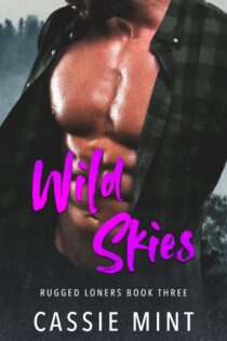 Wild Skies by Cassie Mint EPUB & PDF