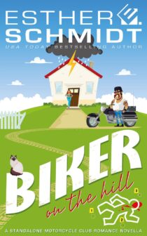 Biker On The Hill by Esther E. Schmidt EPUB & PDF