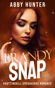 Brandy Snap by Abby Hunter EPUB & PDF