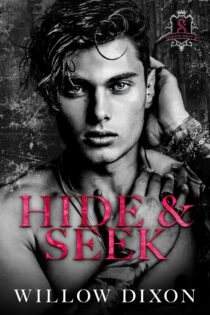 Hide and Seek by Willow Dixon EPUB & PDF