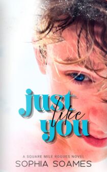 Just Like You by Sophia Soames EPUB & PDF