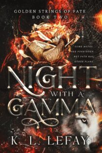 Night with a Gamma by K. L. LeFay EPUB & PDF