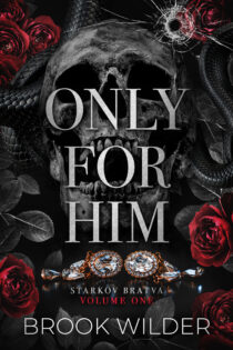 Only for Him by Brook Wilder EPUB & PDF