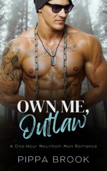 Own Me, Outlaw by Pippa Brook EPUB & PDF