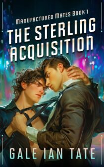 The Sterling Acquisition by Gale Ian Tate EPUB & PDF