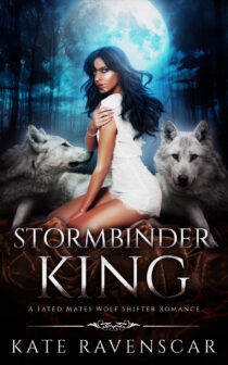 Stormbinder King by Kate Ravenscar EPUB & PDF