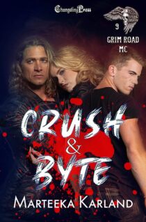 Crush & Byte by Marteeka Karland EPUB & PDF