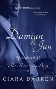 Damian & Jun, Episodes 9-12 by Ciara Darren
