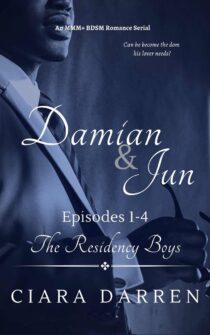 Damian & Jun: Episodes 1-4 by Ciara Darren EPUB & PDF