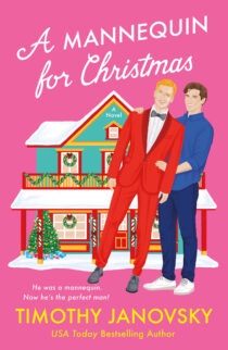 A Mannequin for Christmas by Timothy Janovsky EPUB & PDF