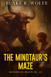 The Minotaur's Maze by Blake R. Wolfe EPUB & PDF