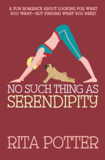 No Such Thing as Serendipity by Rita Potter EPUB & PDF