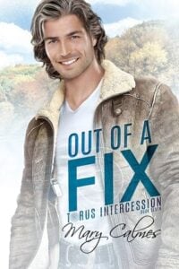 Out Of A Fix by Mary Calmes
