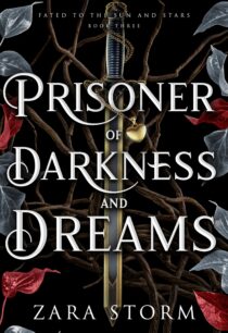 Prisoner of Darkness and Dreams by Zara Storm EPUB & PDF