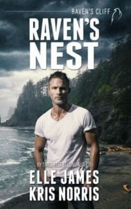 Raven’s Nest by Elle James
