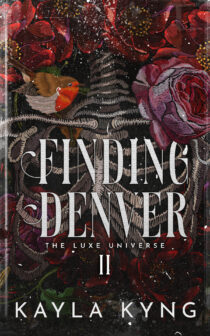 Finding Denver by Kayla Kyng EPUB & PDF