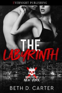 The Labyrinth by Beth D. Carter EPUB & PDF