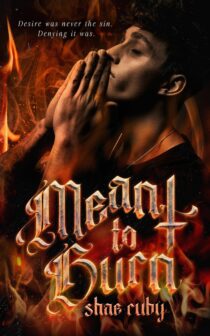 Meant to Burn by Shae Ruby EPUB & PDF