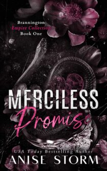 Merciless Promise by Anise Storm EPUB & PDF
