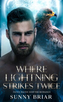 Where Lightning Strikes Twice by Sunny Briar EPUB & PDF