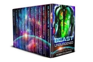 Gladiators of the Vagabond Boxset by Robin O’Connor