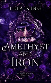 Amesthyst And Iron by Leia King EPUB & PDF